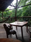 Casa del musgo y helecho