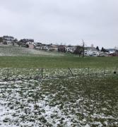 Top Bütschwil Top Bütschwil