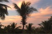 Top Ko Tao
