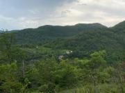 Top Rouvenac Top Rouvenac