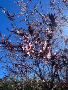 Top Santiago del Teide