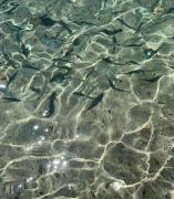 Vacanze a Solanas con Clima CUP1863 Vacanze a Solanas con Clima CUP1863