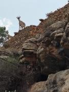 Top La Iglesuela del Cid