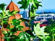 Top Gdańsk