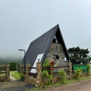 Top San Carlos