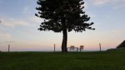 Top Narrabeen