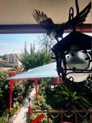 Top Ginosa Top Ginosa