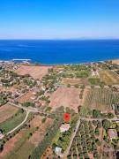 Top Palouki Top Palouki