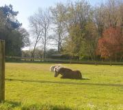 La campagne proche de l Océan