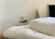 3 Bedrooms House In Reading 3 Bedrooms House In Reading