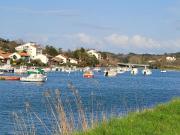 Top Ciboure Top Ciboure