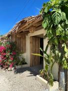 Yellow Banana Siargao