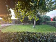 Top Toledo Top Toledo