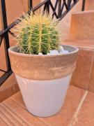 Top San Juan de los Terreros