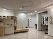 Top Vadodara