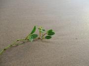 2 Lofts com piscina privativa para 4 pessoas a 5 min da praia