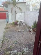 Top Florianópolis