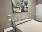 Top Principina Terra