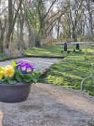 Top Sarlat-la-Canéda