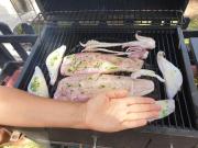 Top Playa del Aguila