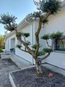 Top Saint-Médard-en-Jalles