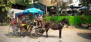 Top Lampang