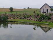 Top Filipów Top Filipów