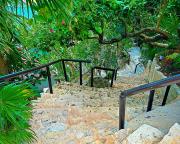 Top Isla Mujeres Top Isla Mujeres