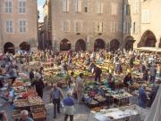 Le paradis des châtaigniers