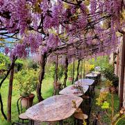 Top Serravalle Pistoiese