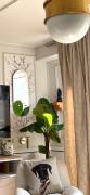 Top Suresnes