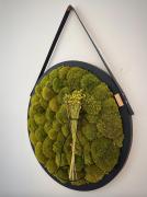 Top České Budějovice