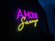 Amour Sauvage-Love Room****, Centre-Historique