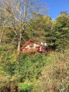 Top Shandaken
