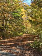 Top Shandaken
