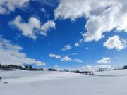 Top Borowy Las Top Borowy Las