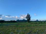 Top Alor Tampang