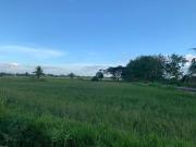 Top Alor Tampang