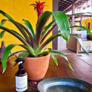 Top Ilhabela