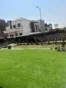 Ginger Garlic Chandigarh