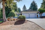 Top Bellingham