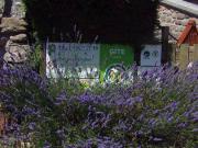 Top Sainte-Colombe-de-Peyre