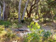 Inji Homestead - 5 acre holiday home in Margaret river region