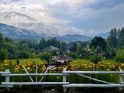 Top Wetlina Top Wetlina