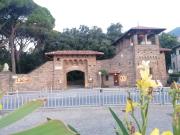 Top Arenzano