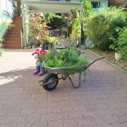 Top Stolberg i. Harz