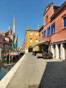 Top Chioggia
