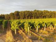 Spatieux, confort, reposant, gd jardin bucolique, jeux, balades, zoo, châteaux