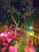 Montelungo Cabañas Glamping