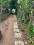 Top Tanay